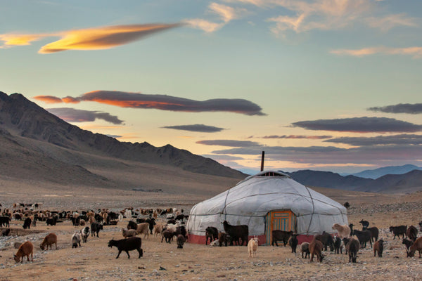 #Top10 - Mongolie : les 10 conseils de Pauline pour découvrir le pays