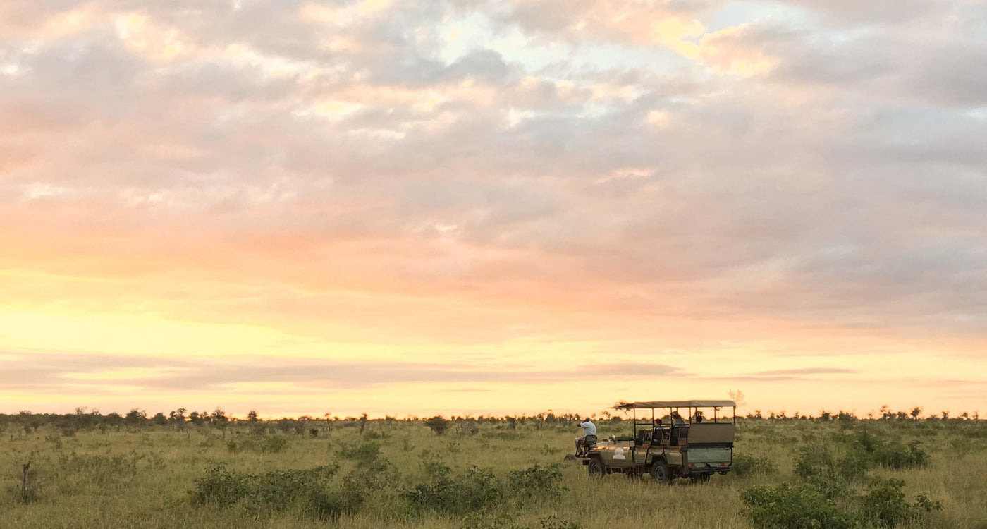 Emmener ses enfants en safari par Poesy by Sophie