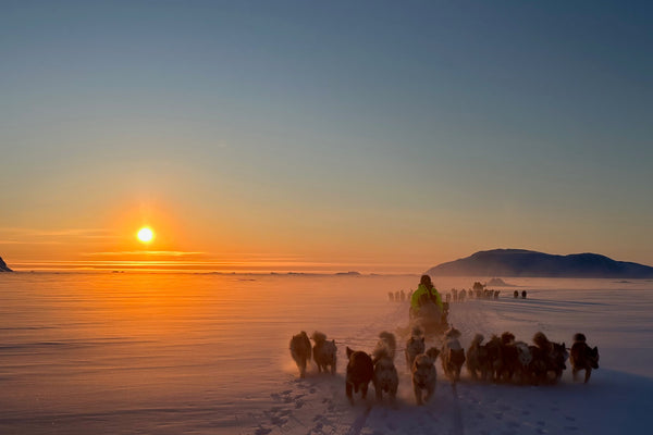 #70 - Nicolas Dubreuil chez les Inuits : Tomber dans l’eau glacée, pister les ours et faire du Groenland sa maison