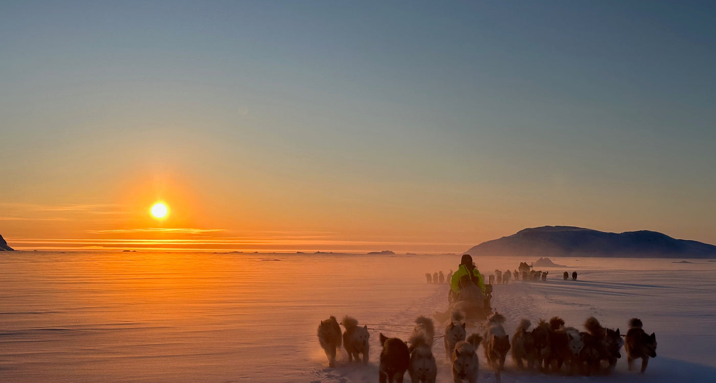 #70 - Nicolas Dubreuil chez les Inuits : Tomber dans l’eau glacée, pister les ours et faire du Groenland sa maison