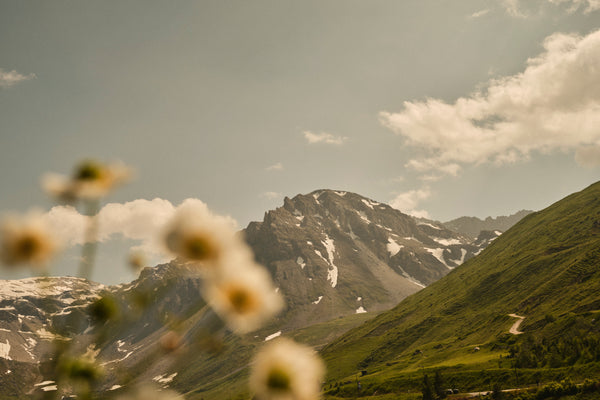 Et si on partait à la montagne cet été?