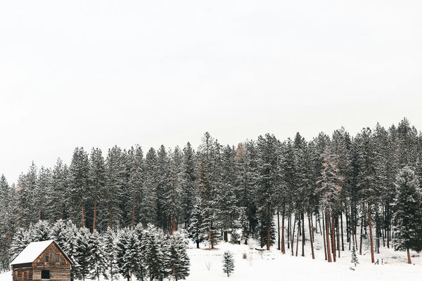 Dormir ailleurs, comme nulle part ailleurs