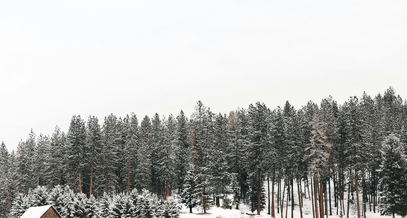 Dormir ailleurs, comme nulle part ailleurs