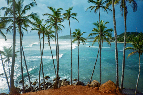 Paris–Colombo en direct : le Sri Lanka devient encore plus accessible