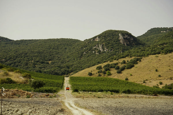 10 idées de road trips en France pour voir du pays (et louer la bonne voiture avant de partir)