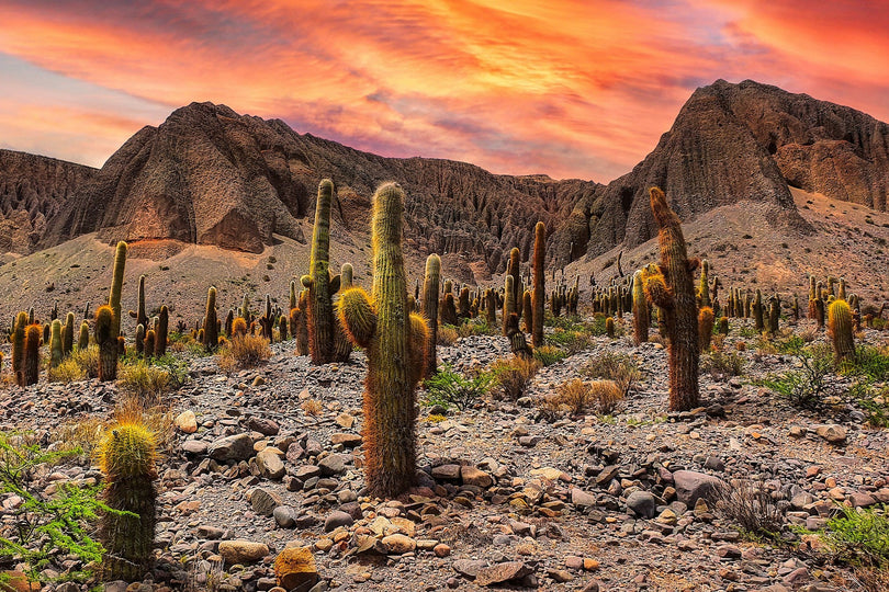 10 Destinations à découvrir en 2025