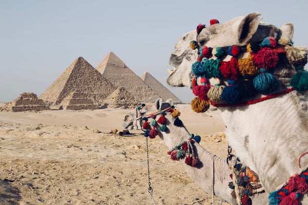 Egypte en famille: nos meilleurs spots et nos idées d'itinéraires