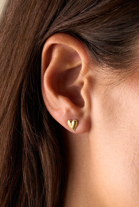 gid://shopify/MediaImage/68633164972407