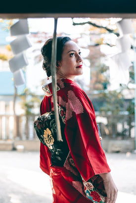 gid://shopify/MediaImage/65239524278647